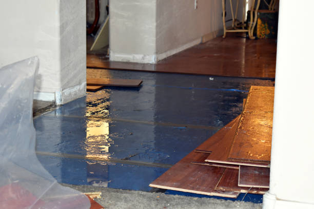 Professional Emergency Water Damage Restoration technician working in Potterville, MI